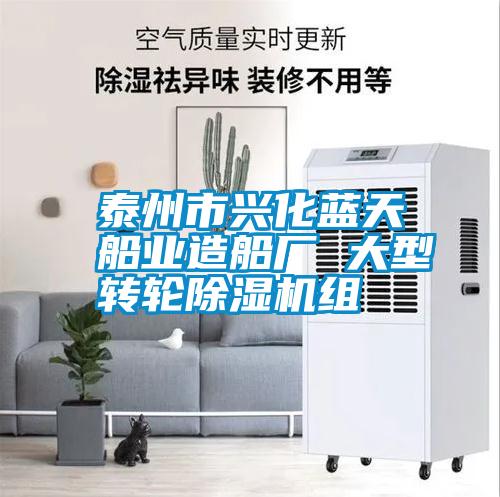 泰州市兴化蓝天船业造船厂 大型转轮除湿机组