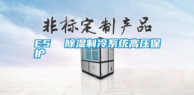 E5  除湿制冷系统高压?；?/></p>
						    <p style=