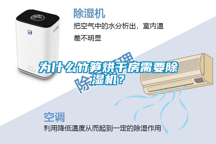 为什么竹笋烘干房需要除湿机？