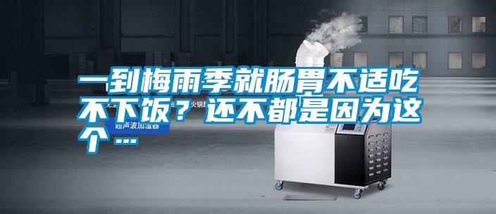 一到梅雨季就肠胃不适吃不下饭？还不都是因为这个…