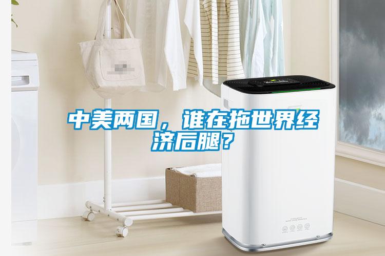 中美两国，谁在拖世界经济后腿？
