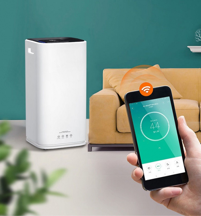 梅雨季防潮神器：空净除湿双管齐下！