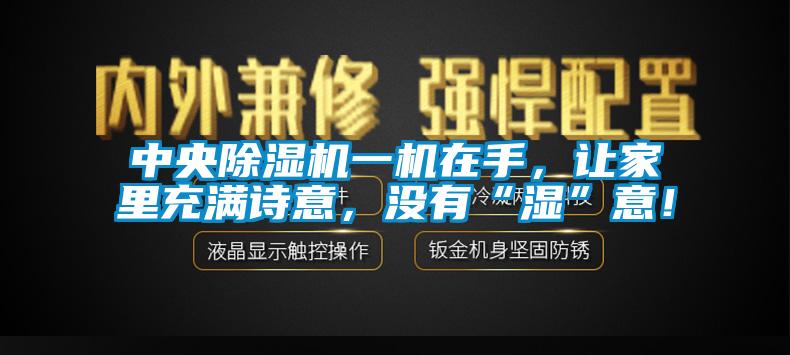 中央除湿机一机在手，让家里充满诗意，没有“湿”意！