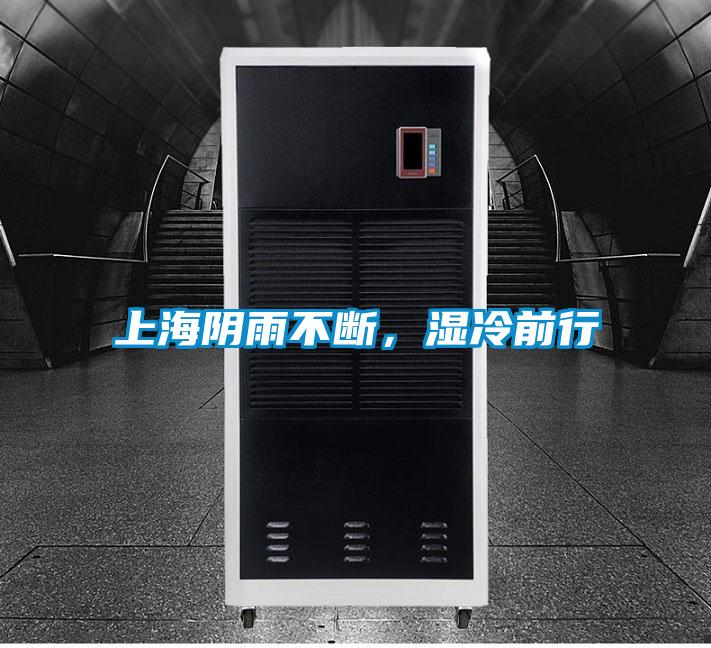 上海阴雨不断，湿冷前行