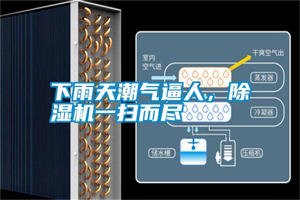 下雨天潮气逼人，除湿机一扫而尽