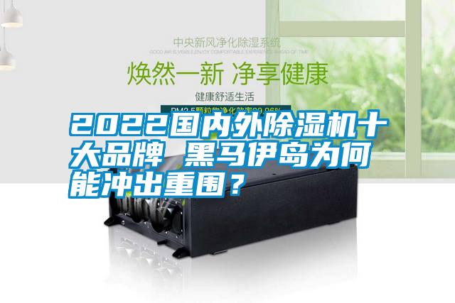 2022国内外除湿机十大品牌 黑马伊岛为何能冲出重围？