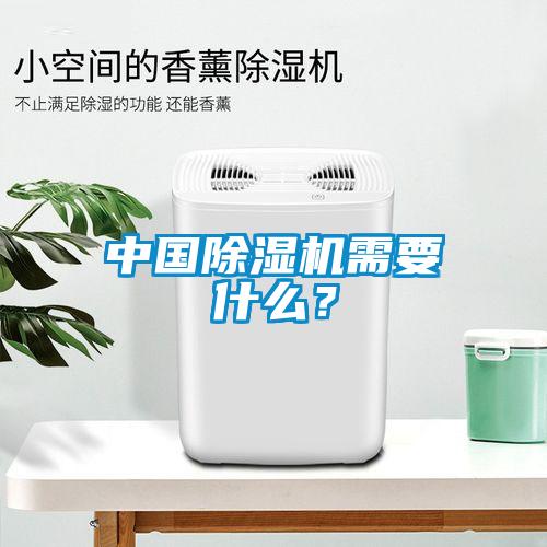 中国除湿机需要什么？