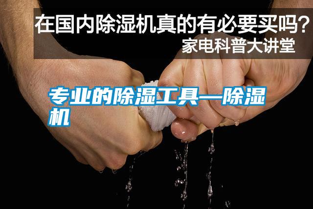 专业的除湿工具—除湿机