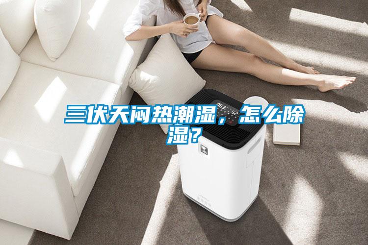 三伏天闷热潮湿，怎么除湿？
