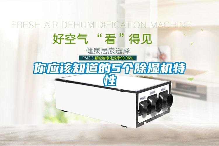 你应该知道的5个除湿机特性