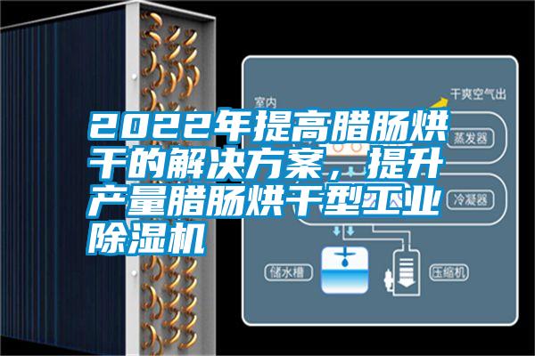 2022年提高腊肠烘干的解决方案，提升产量腊肠烘干型工业除湿机