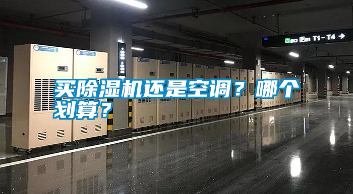 买除湿机还是空调？哪个划算？