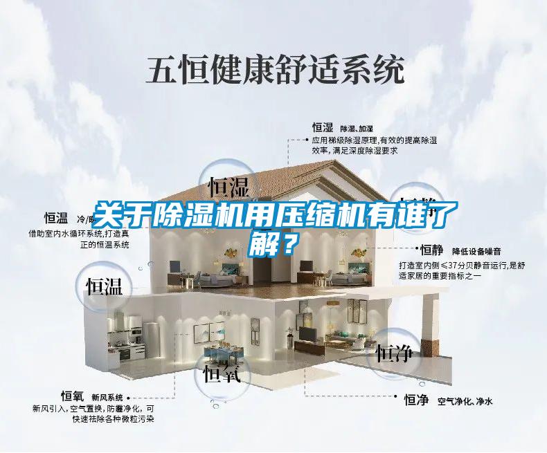 关于除湿机用压缩机有谁了解？