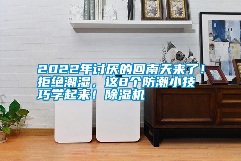 2022年讨厌的回南天来了！拒绝潮湿，这8个防潮小技巧学起来！除湿机