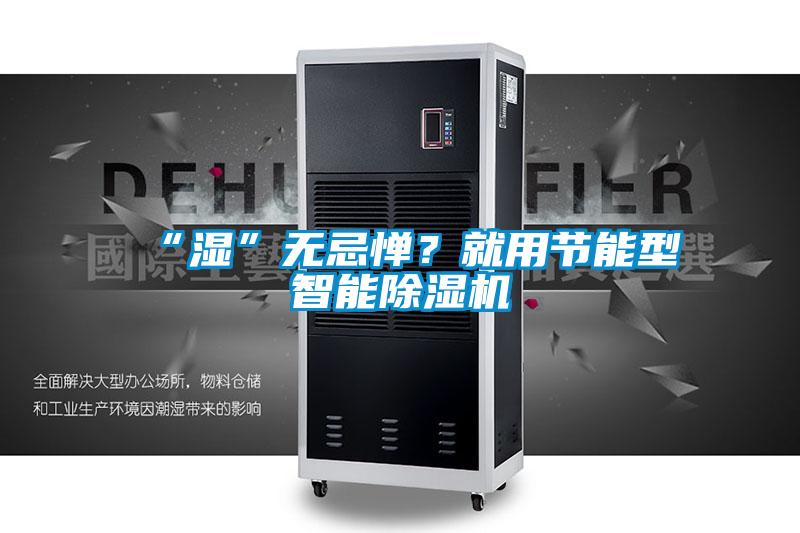 “湿”无忌惮？就用节能型智能除湿机