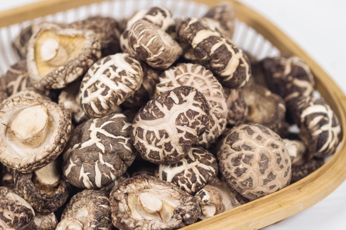 干货仓库怎么利用除湿机保持干爽？