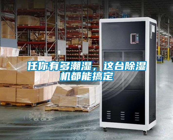 任你有多潮湿，这台除湿机都能搞定