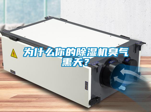为什么你的除湿机臭气熏天？