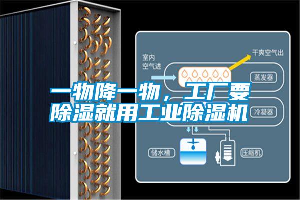 一物降一物，工厂要除湿就用工业除湿机