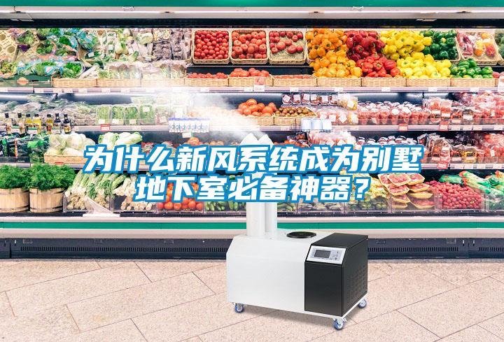 为什么新风系统成为别墅地下室必备神器？