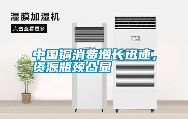 中国铜消费增长迅速，资源瓶颈凸显