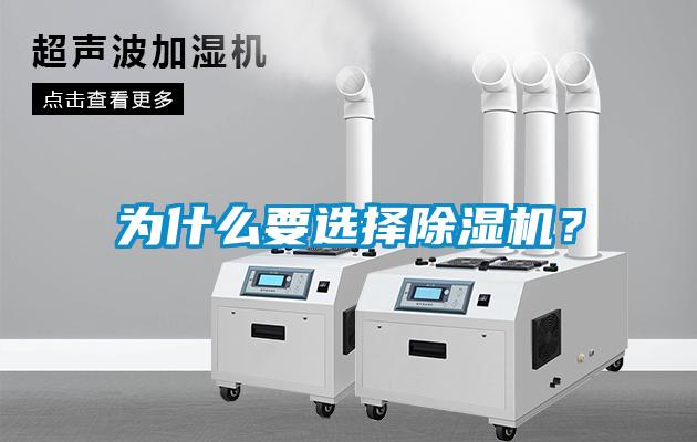 为什么要选择除湿机？