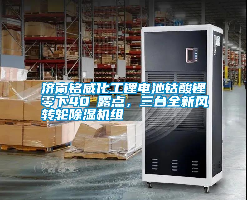 济南铭威化工锂电池钴酸锂零下40℃露点，三台全新风转轮除湿机组