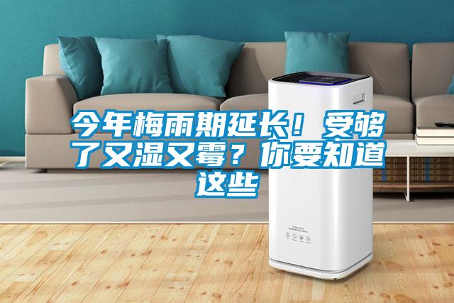 今年梅雨期延长！受够了又湿又霉？你要知道这些