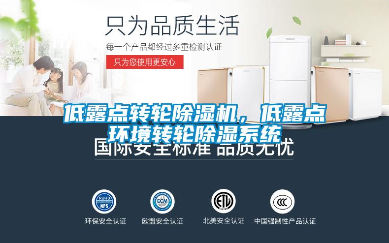 低露点转轮除湿机，低露点环境转轮除湿系统