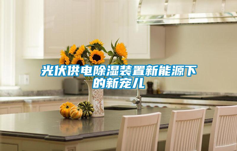 光伏供电除湿装置新能源下的新宠儿