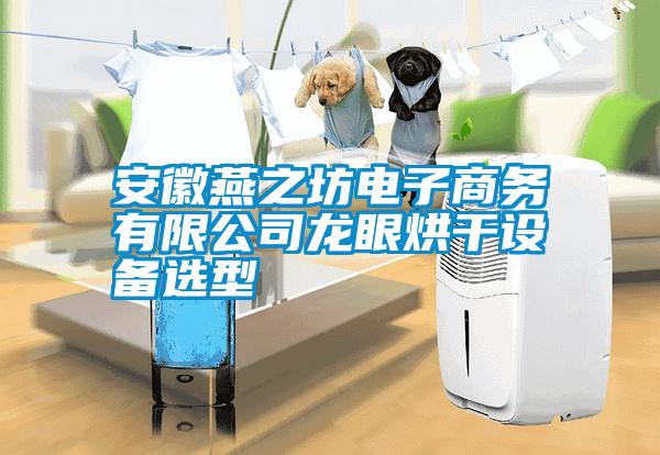 安徽燕之坊电子商务有限公司龙眼烘干设备选型
