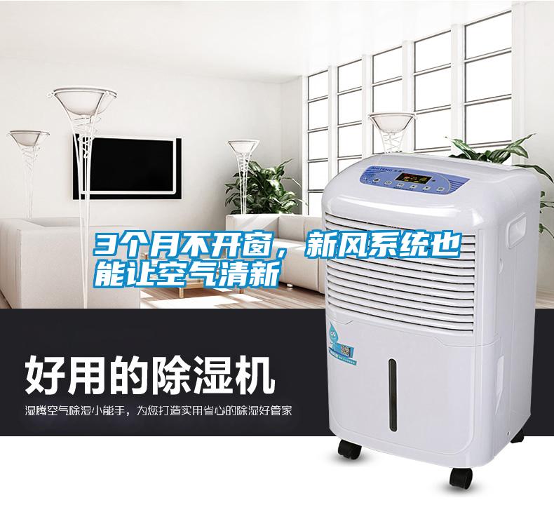 3个月不开窗，新风系统也能让空气清新