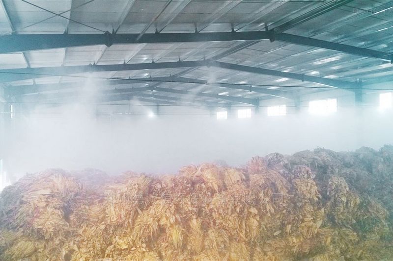 提升烟叶加工质量，高效回潮很重要