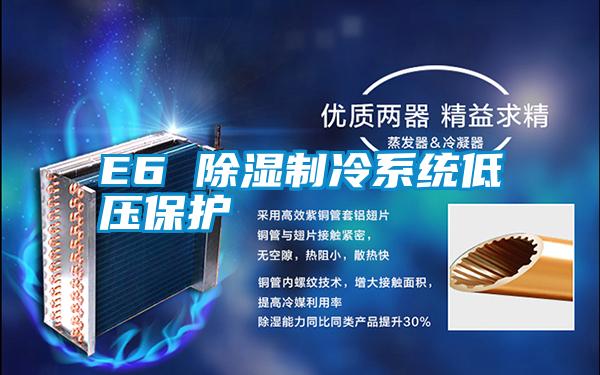 E6 除湿制冷系统低压?；?/></p>
						    <p style=
