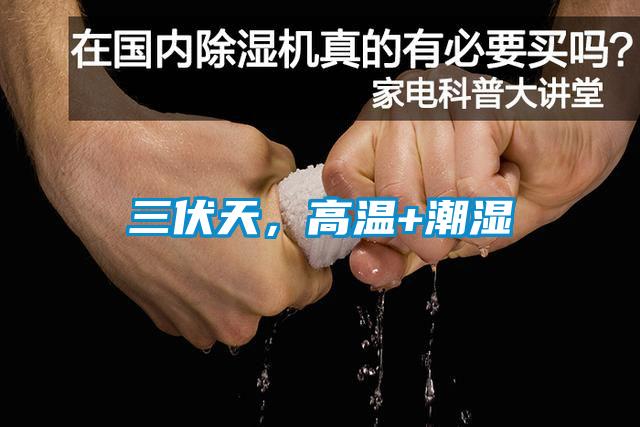 三伏天，高温+潮湿