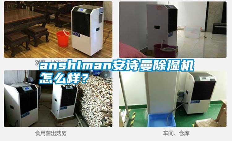 anshiman安诗曼除湿机怎么样？