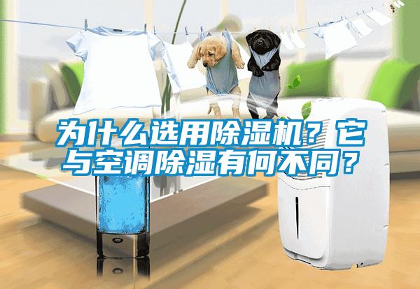为什么选用除湿机？它与空调除湿有何不同？