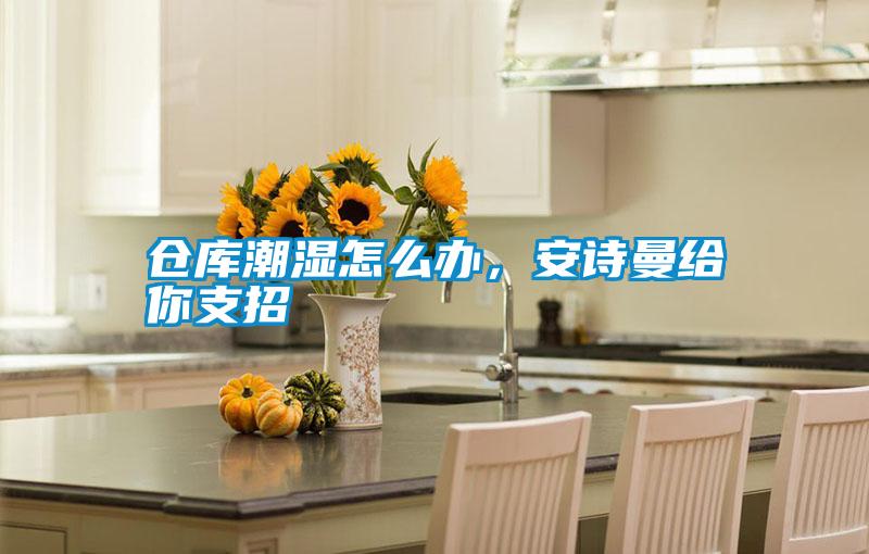 仓库潮湿怎么办，安诗曼给你支招