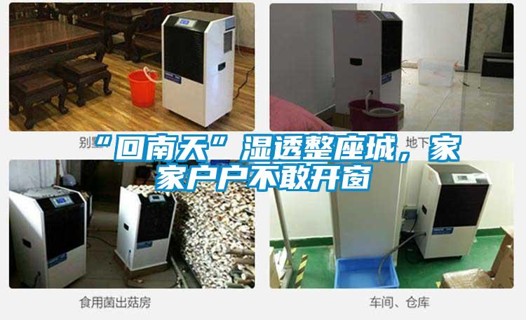 “回南天”湿透整座城，家家户户不敢开窗