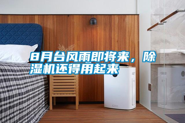 8月台风雨即将来，除湿机还得用起来