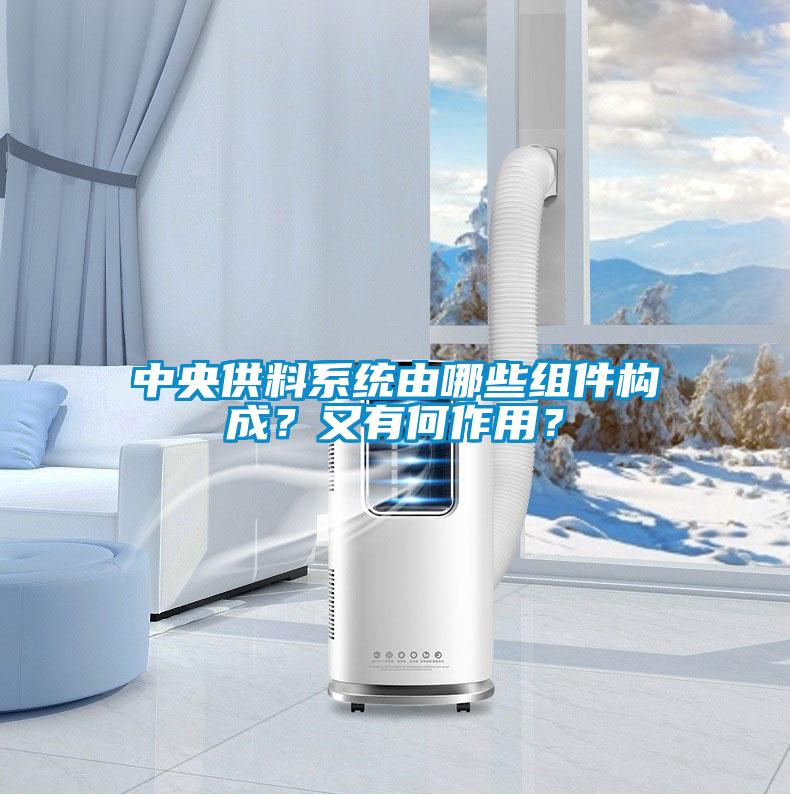 中央供料系统由哪些组件构成？又有何作用？