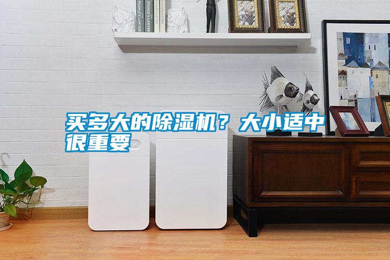 买多大的除湿机？大小适中很重要