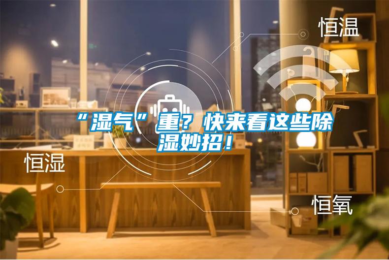 “湿气”重？快来看这些除湿妙招！
