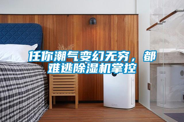 任你潮气变幻无穷，都难逃除湿机掌控