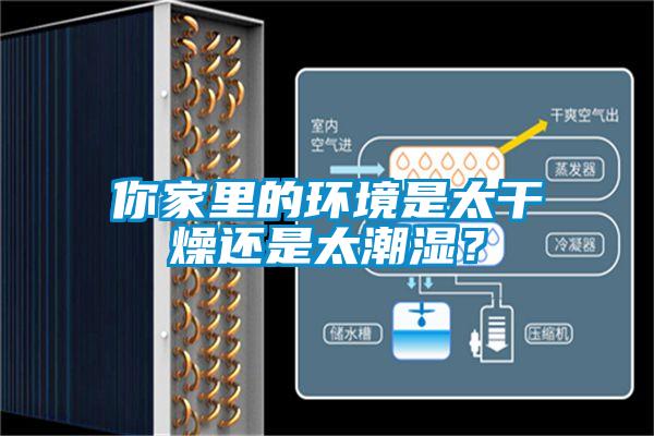 你家里的环境是太干燥还是太潮湿？