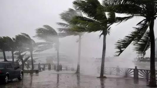 8月台风雨即将来，除湿机还得用起来