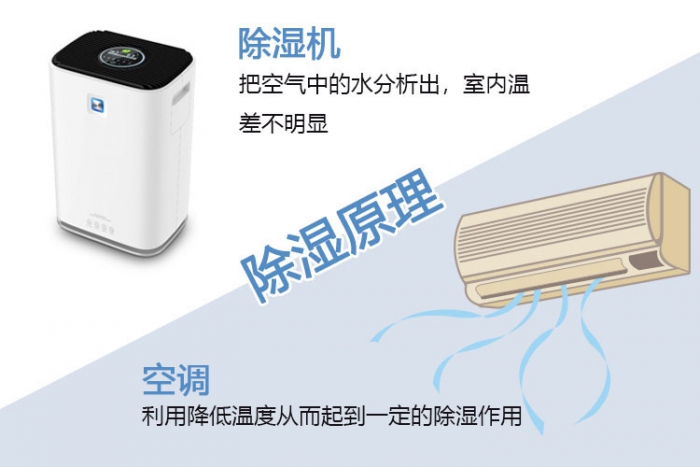 南方梅雨季，怎样不让“霉运”肆无忌惮？