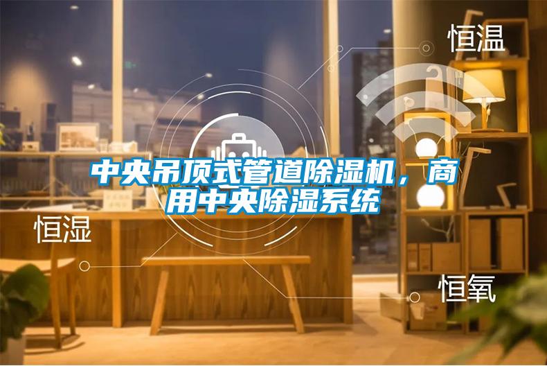 中央吊顶式管道除湿机，商用中央除湿系统
