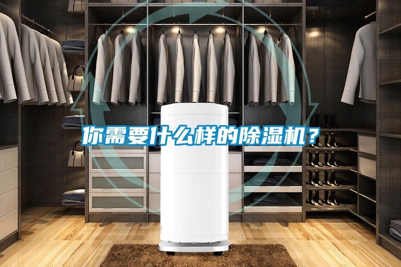你需要什么样的除湿机？