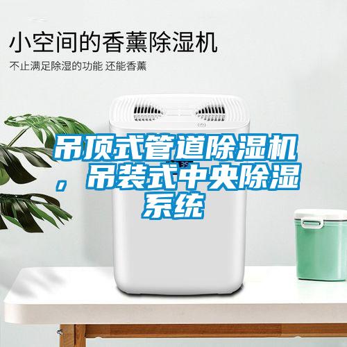 吊顶式管道除湿机，吊装式中央除湿系统
